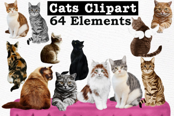 Download Cats Clipart Cat Breeds Cat Bundle - Premium Resources